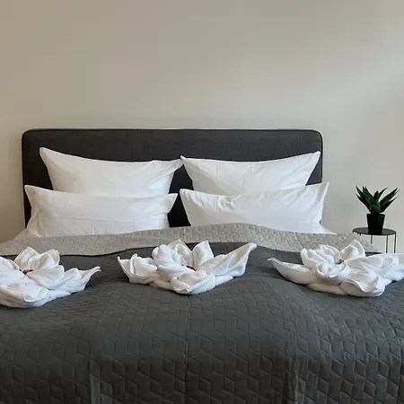 Apartment Neu! City-loft-apartment Im Goethe Palais I 5p I Lift I Parkplatz I Zentrum I Helios