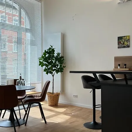 Neu! City-loft-apartment Im Goethe Palais I 5p I Lift I Parkplatz I Zentrum I Helios Apartment Aue (Saxony)