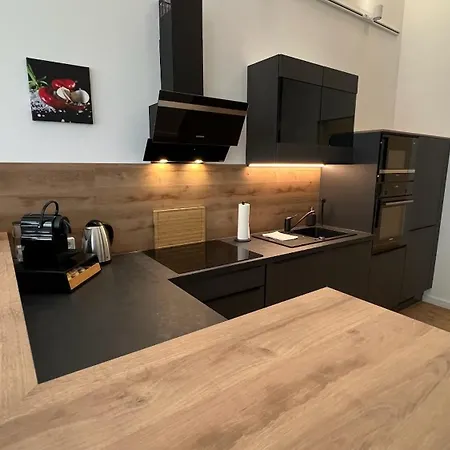 Neu! City-loft-apartment Im Goethe Palais I 5p I Lift I Parkplatz I Zentrum I Helios * Aue (Saxony)