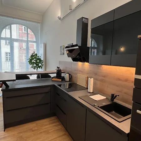 Apartment Neu! City-loft-apartment Im Goethe Palais I 5p I Lift I Parkplatz I Zentrum I Helios