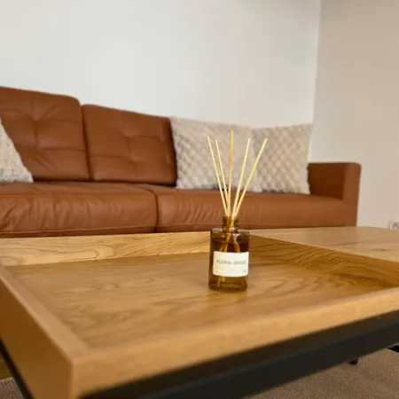 Neu! City-loft-apartment Im Goethe Palais I 5p I Lift I Parkplatz I Zentrum I Helios Apartment Aue (Saxony)