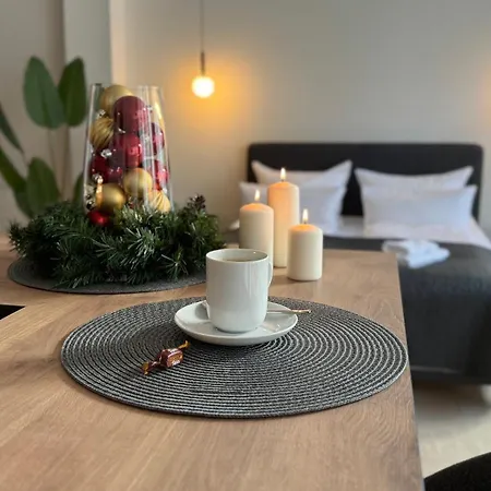 Apartment Neu! City-loft-apartment Im Goethe Palais I 5p I Lift I Parkplatz I Zentrum I Helios Aue (Saxony)