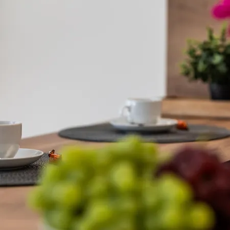 Apartment Neu! City-loft-apartment Im Goethe Palais I 5p I Lift I Parkplatz I Zentrum I Helios Aue (Saxony)