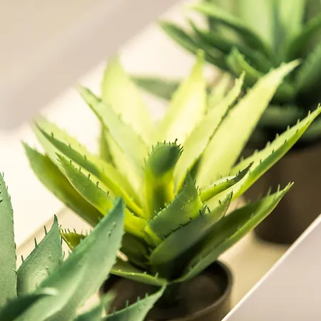 Neu! City-loft-apartment Im Goethe Palais I 5p I Lift I Parkplatz I Zentrum I Helios *