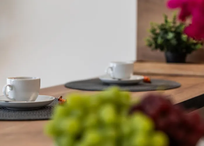 Apartment Neu! City-loft-apartment Im Goethe Palais I 5p I Lift I Parkplatz I Zentrum I Helios Aue (Saxony)