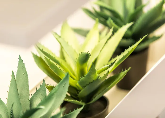 Neu! City-loft-apartment Im Goethe Palais I 5p I Lift I Parkplatz I Zentrum I Helios *